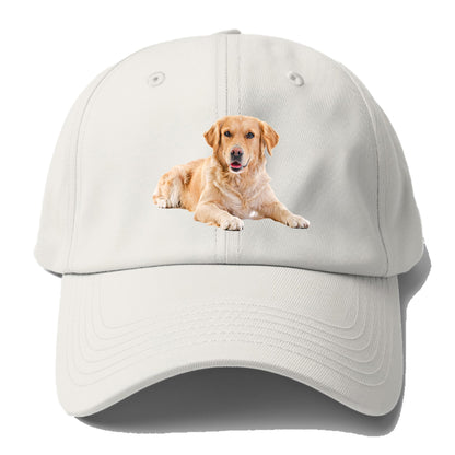 Golden Retriever laying dow Hat