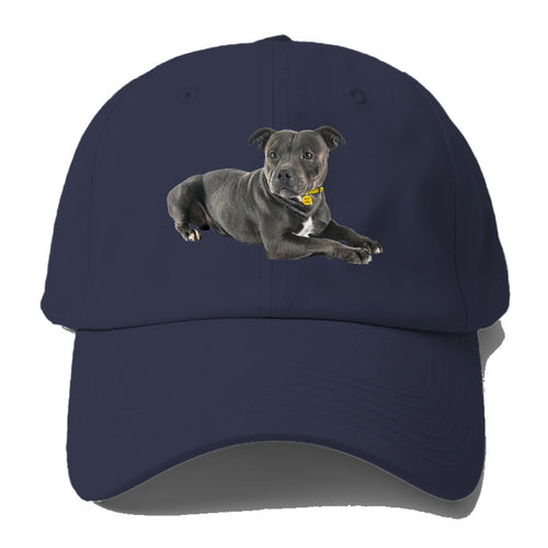 Staffordshire Bull Terrier Baseball Cap For Big Heads