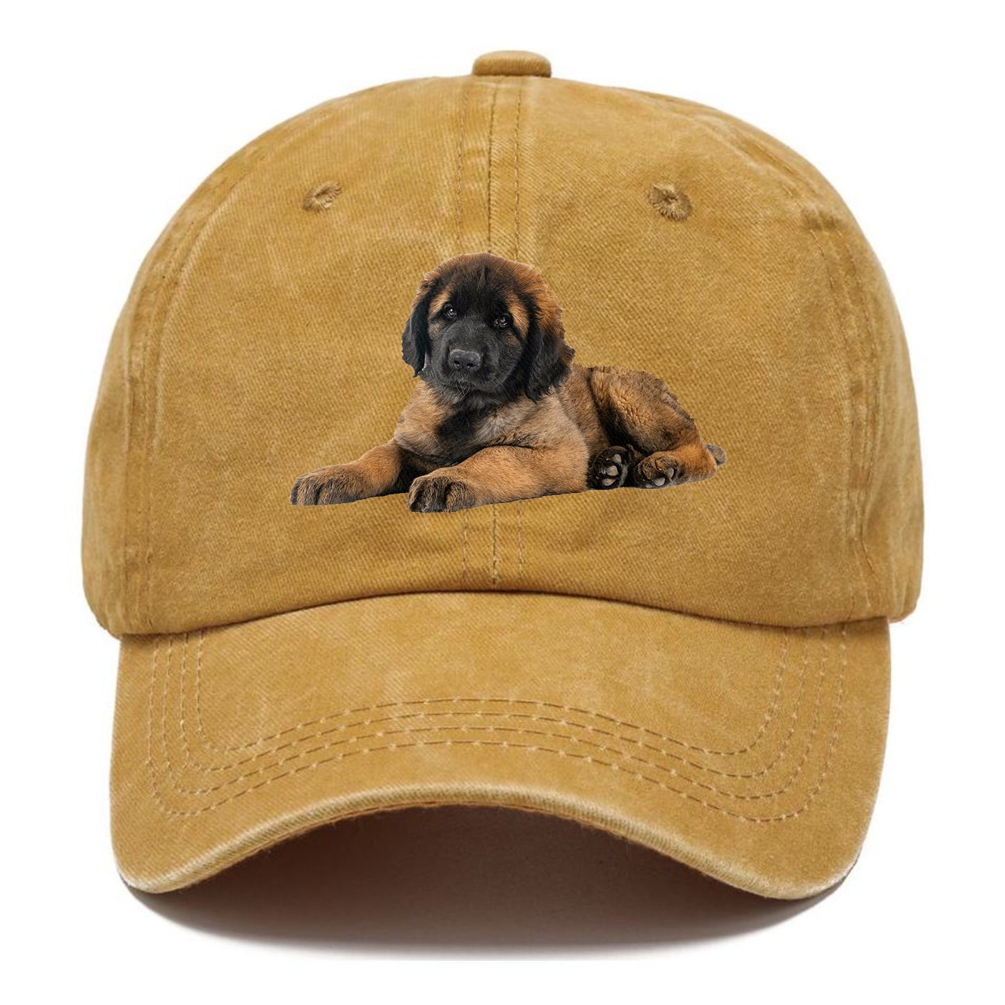 Leonberger Hat