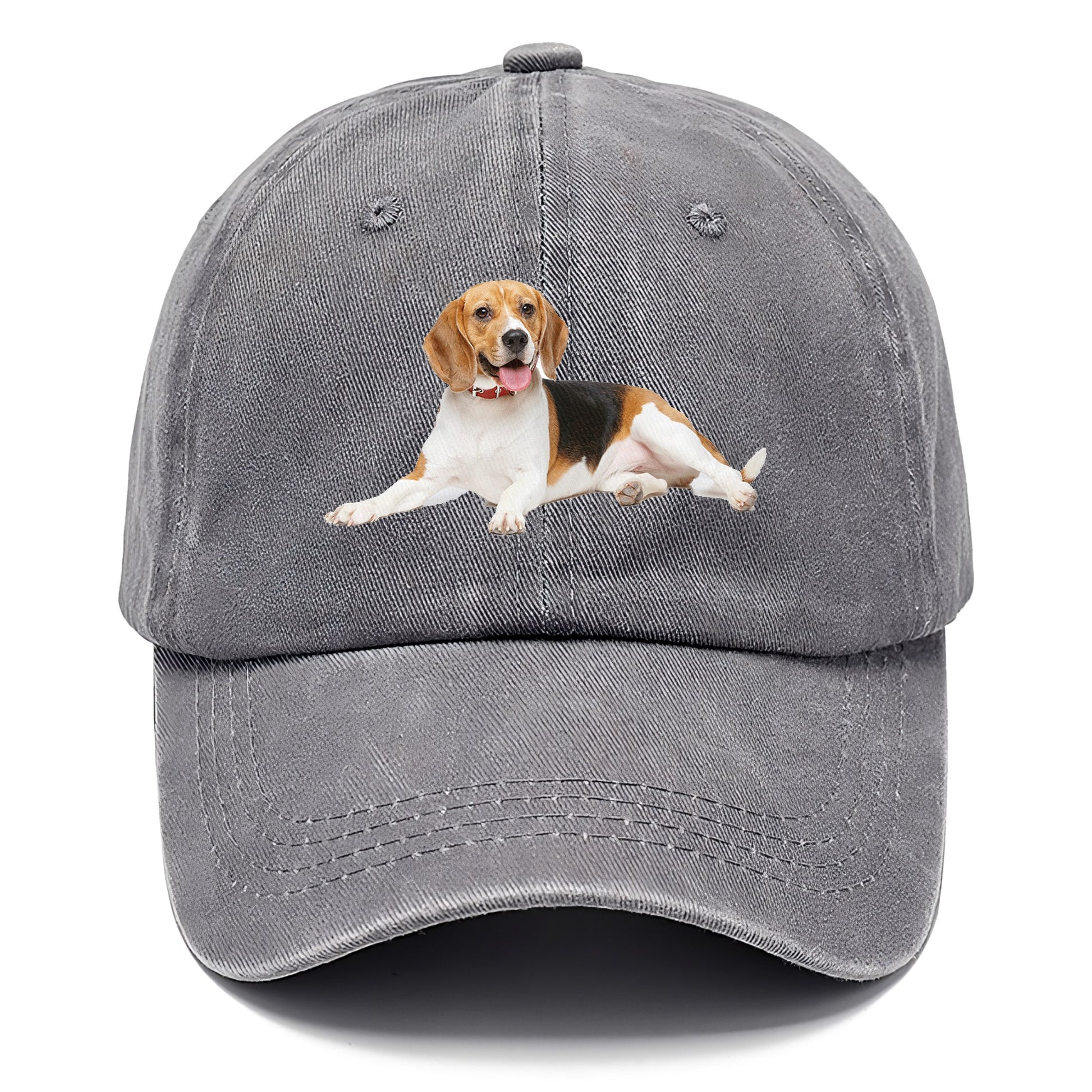 beagle Hat