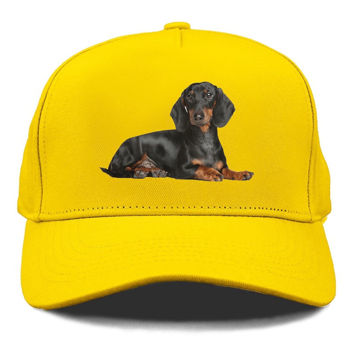 dachshund Hat