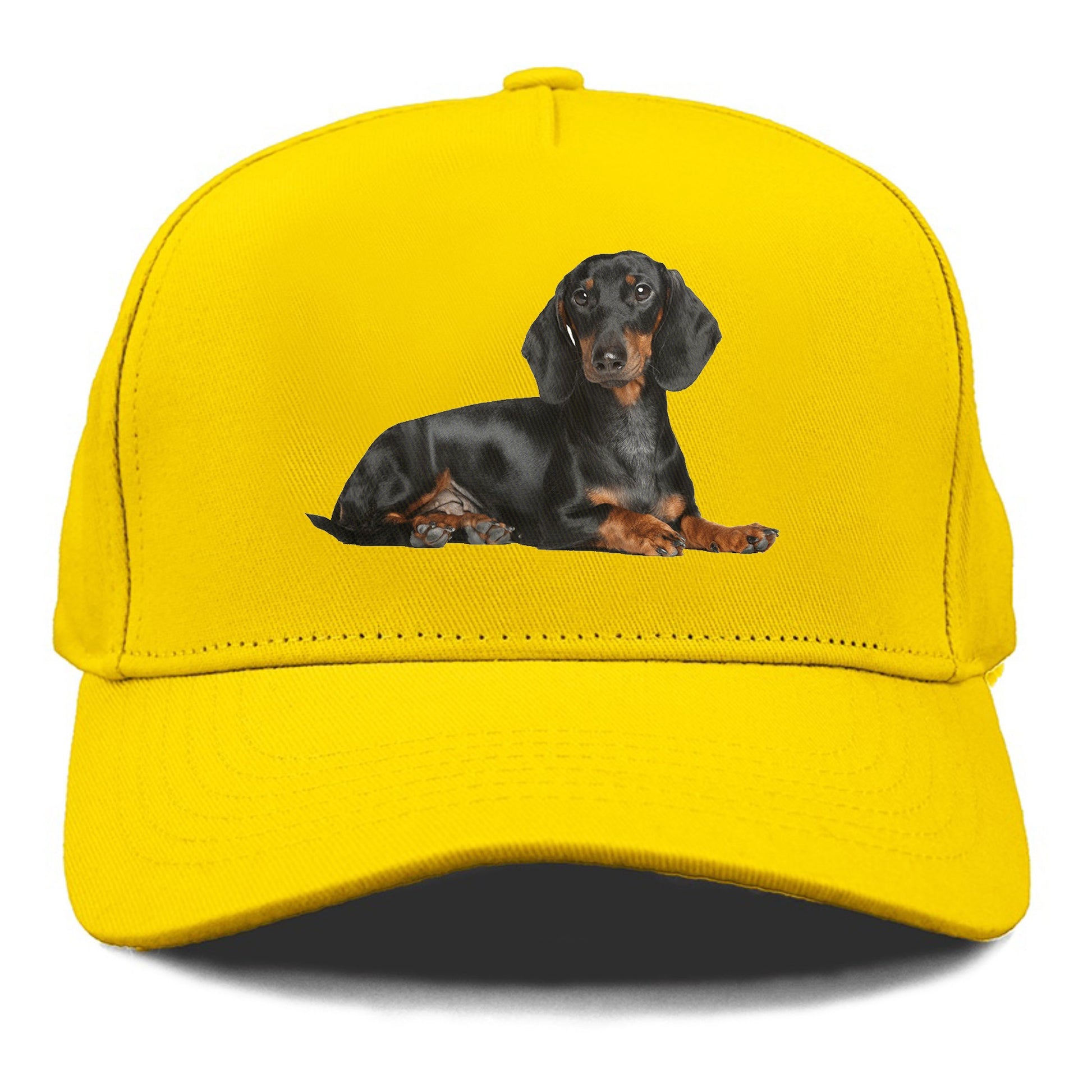 dachshund Hat