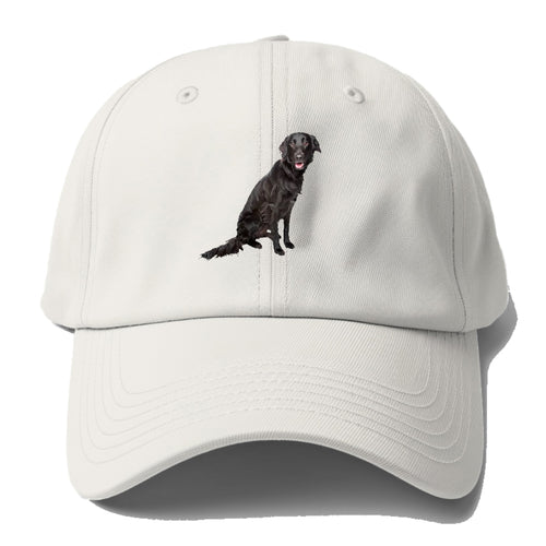 Flatcoated Retriever Baseball Cap For Big Heads