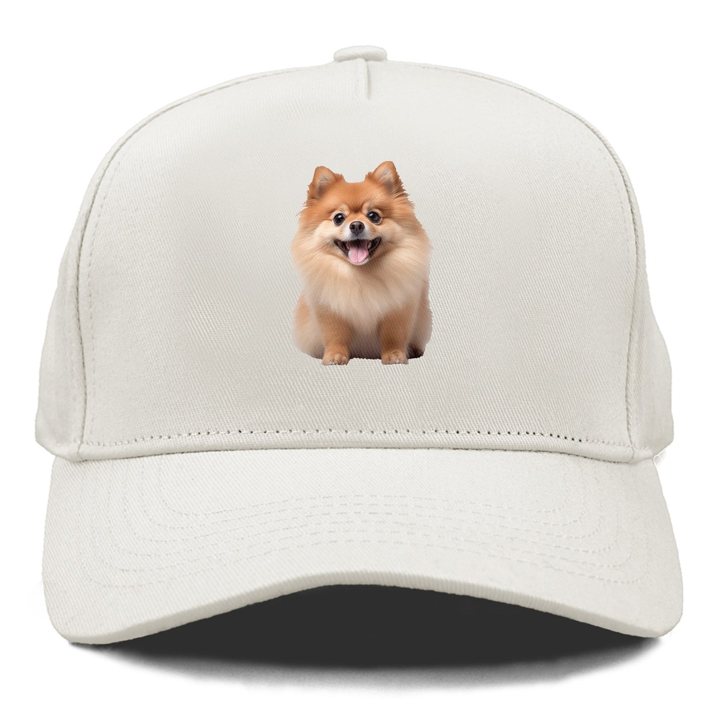 Delighted Pomeranian  Hat