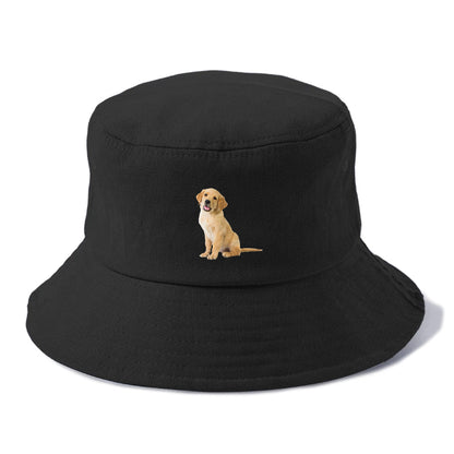 Playful golden pup with a cheerful expression Hat