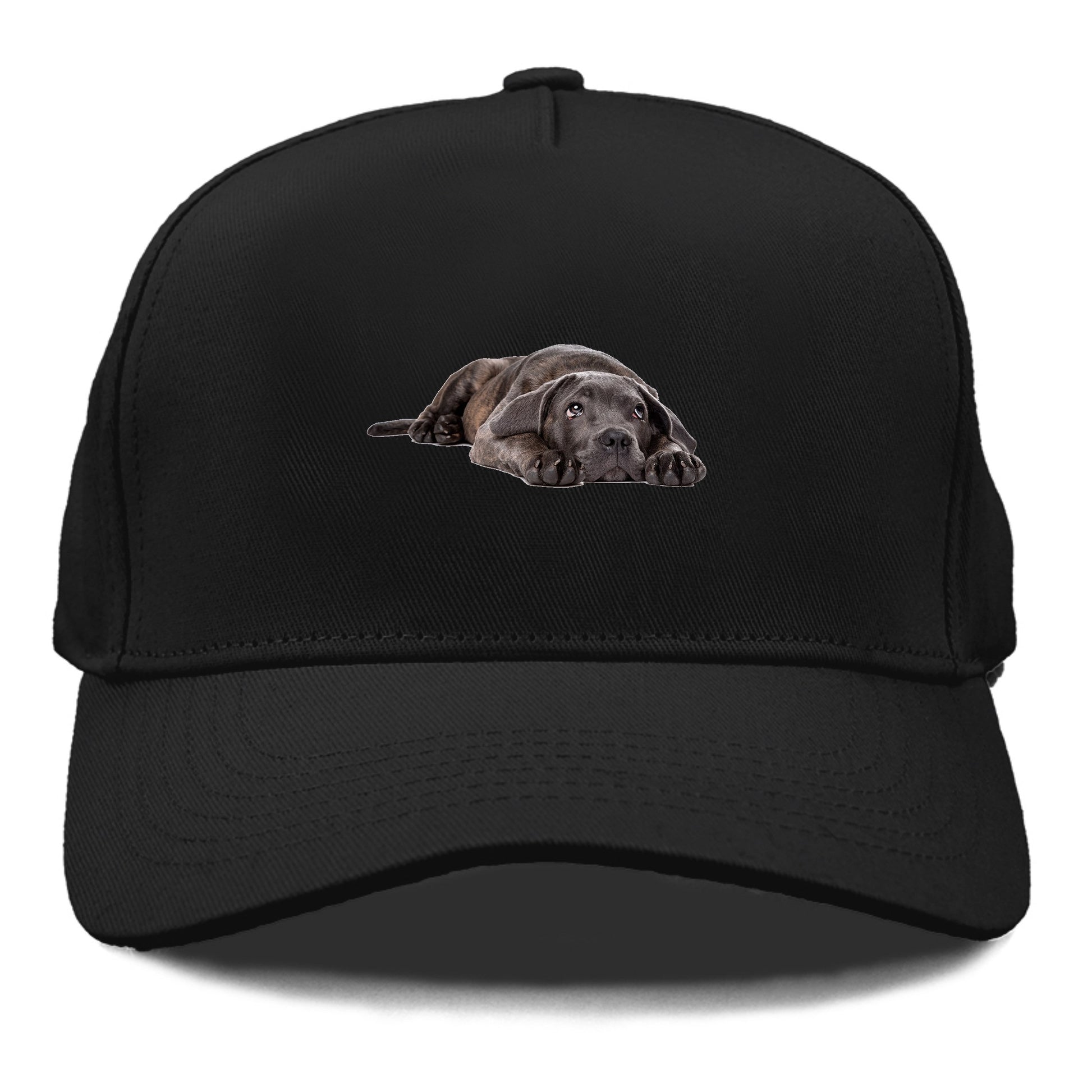 cane corso Hat