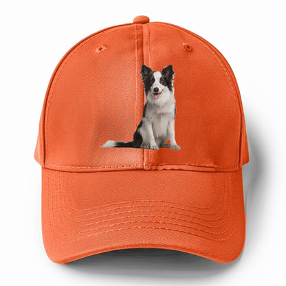 Border Collie Hat