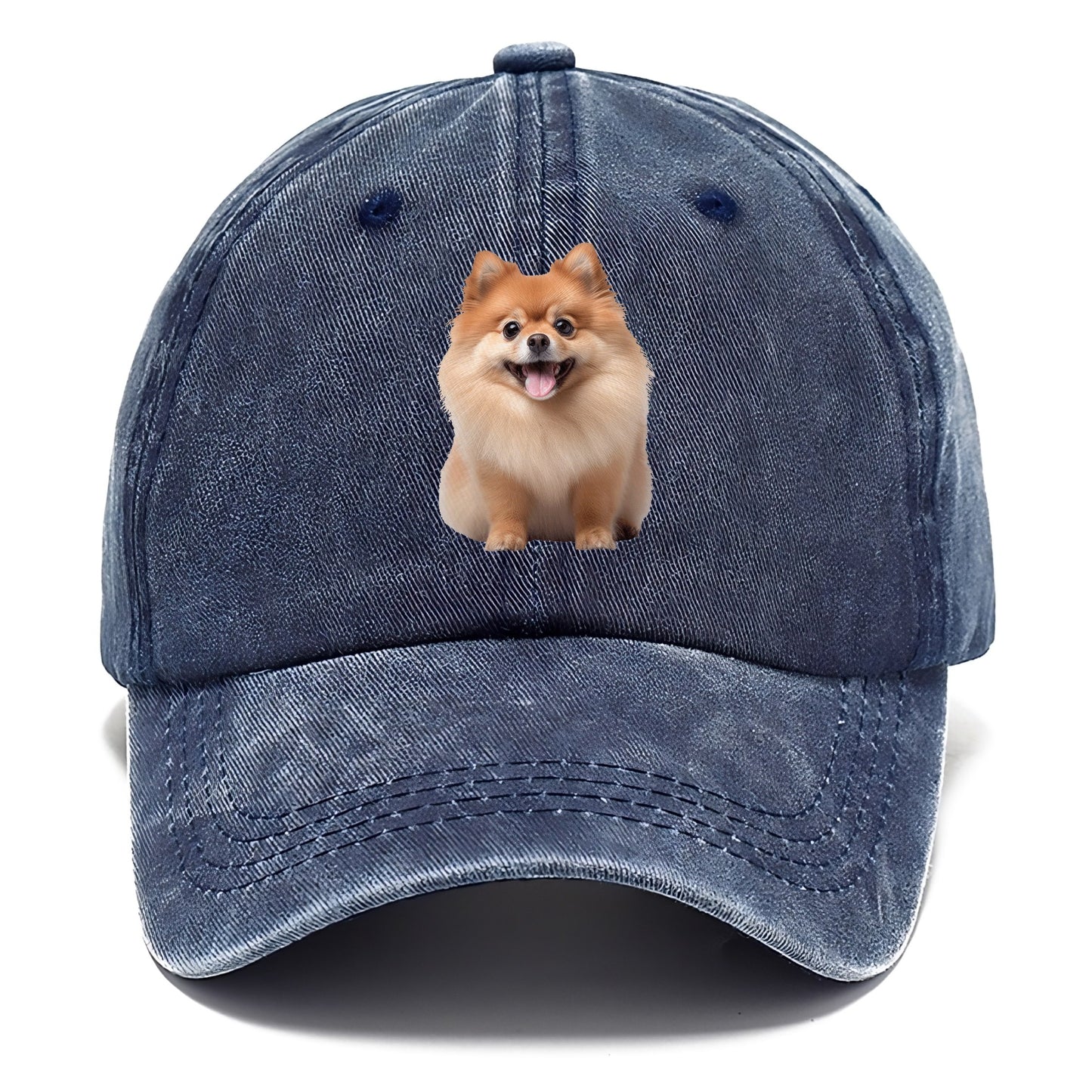 Delighted Pomeranian  Hat