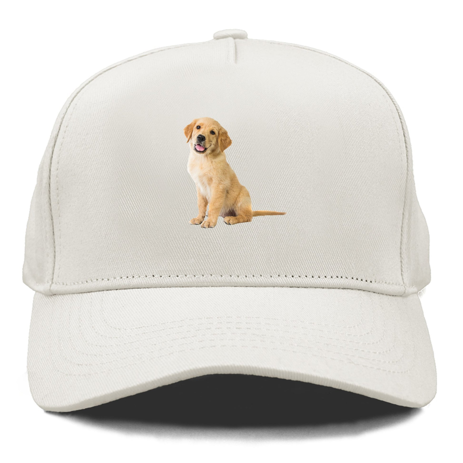 Playful golden pup with a cheerful expression Hat