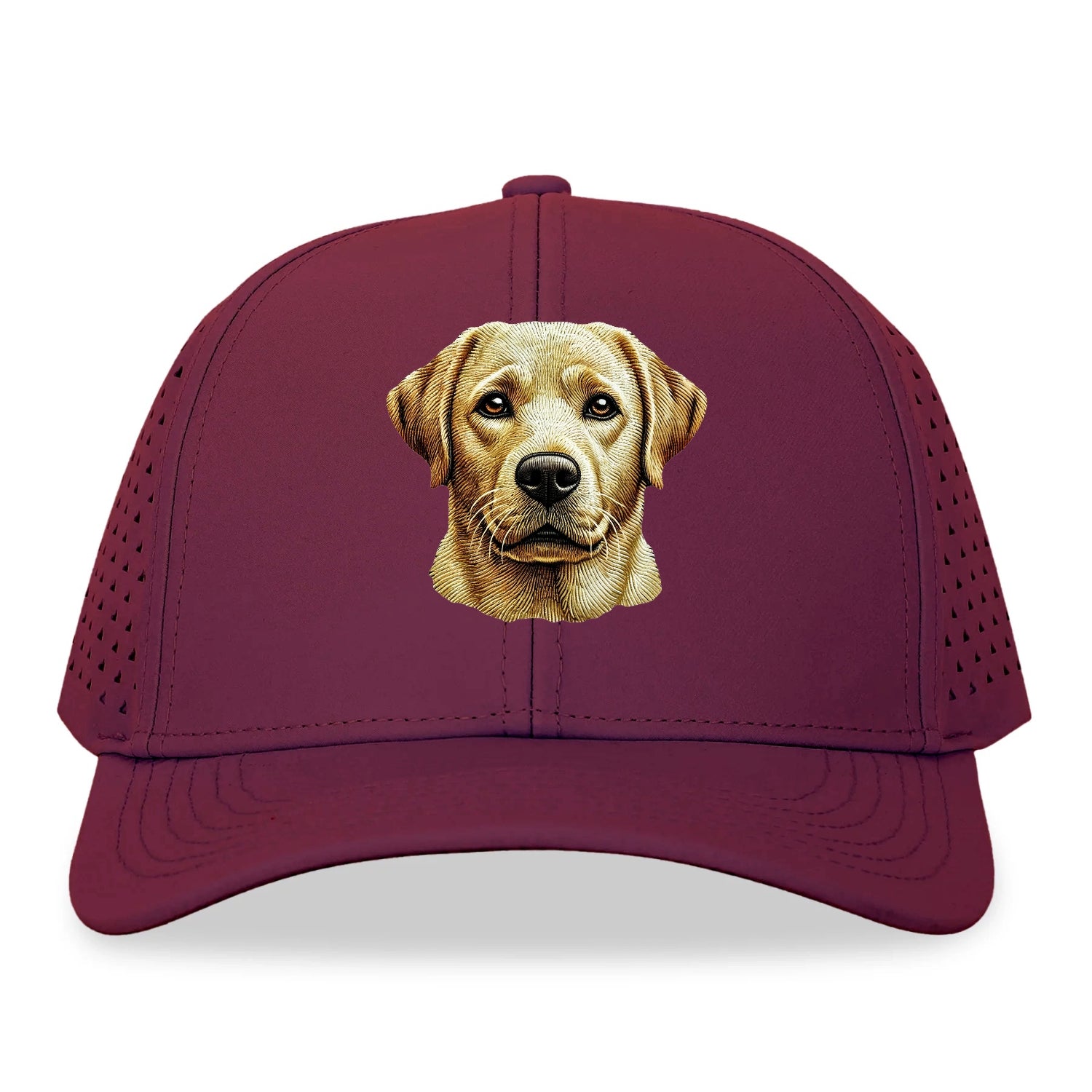 Labrador Retriever_ Hat