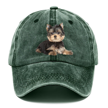 Yorkshire terrier Hat