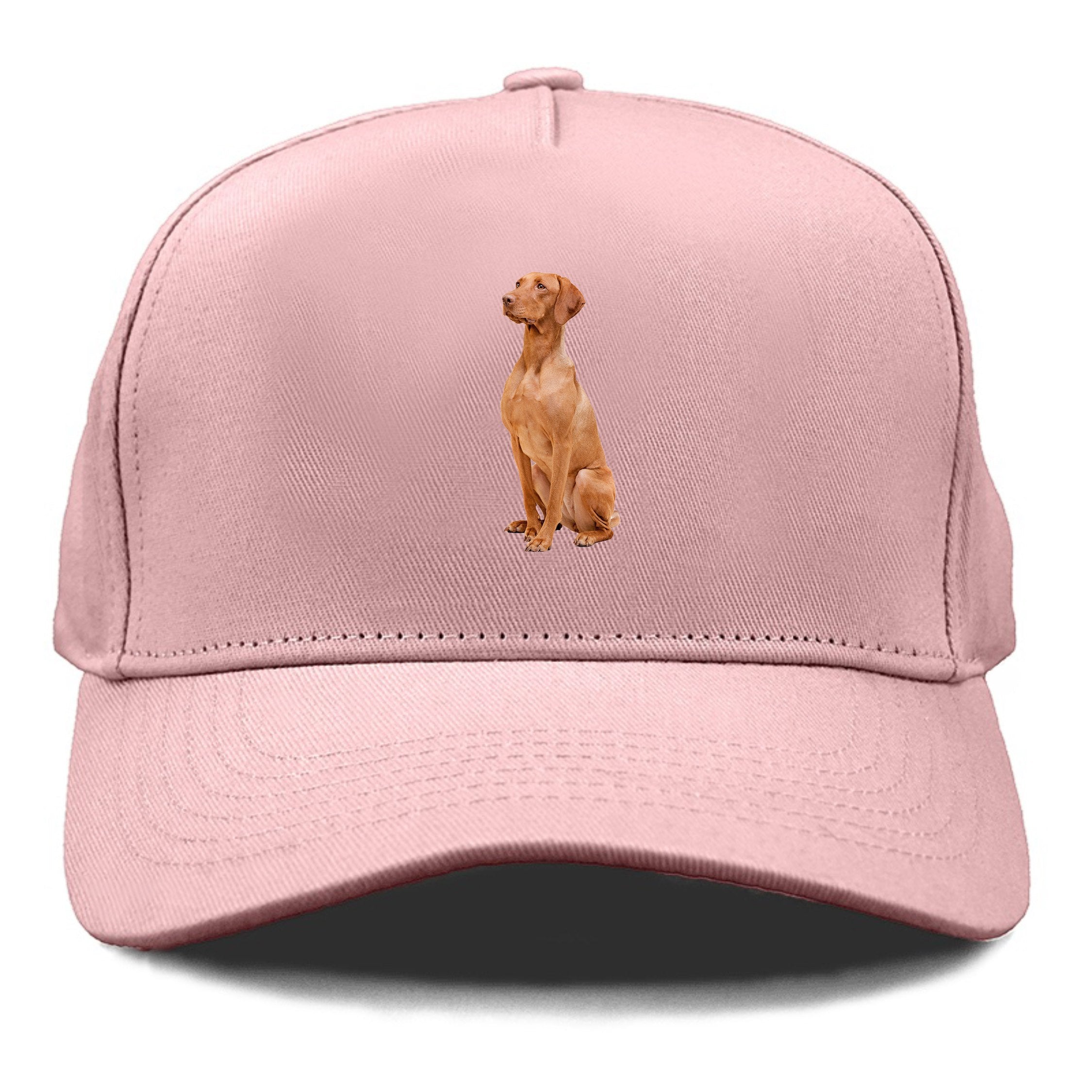 Vizsla hat 2025