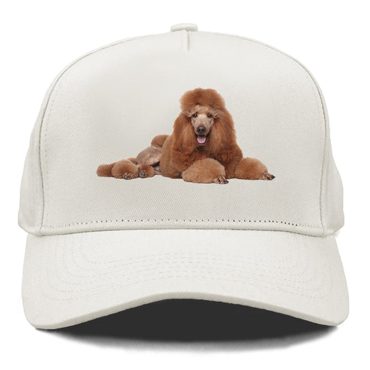 standard poodle Hat