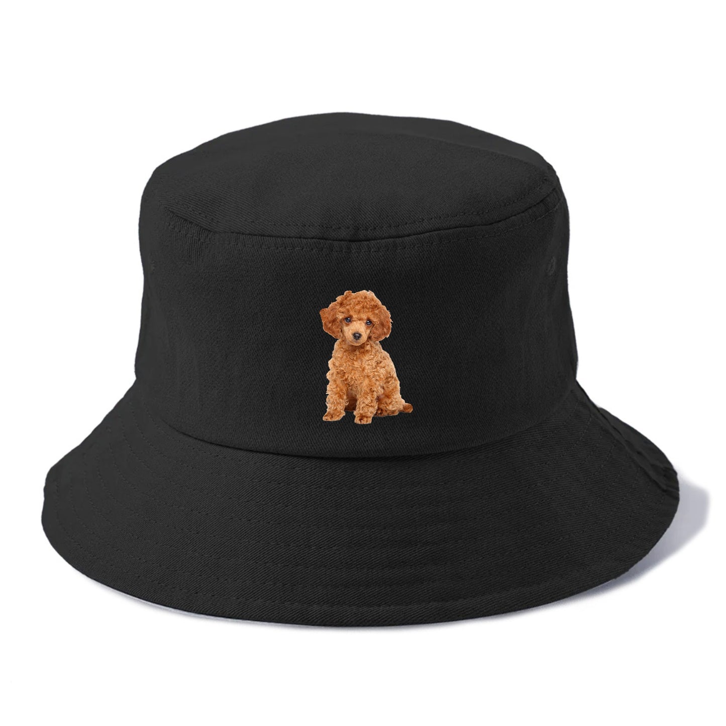 toy poodle Hat