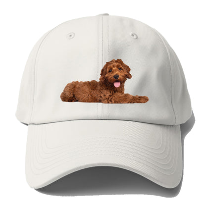 Labradoodle laying down Hat