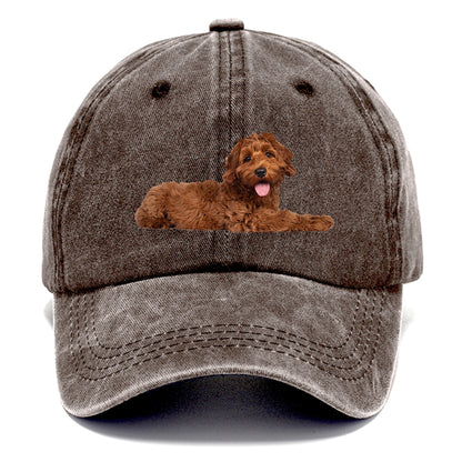 Labradoodle laying down Hat