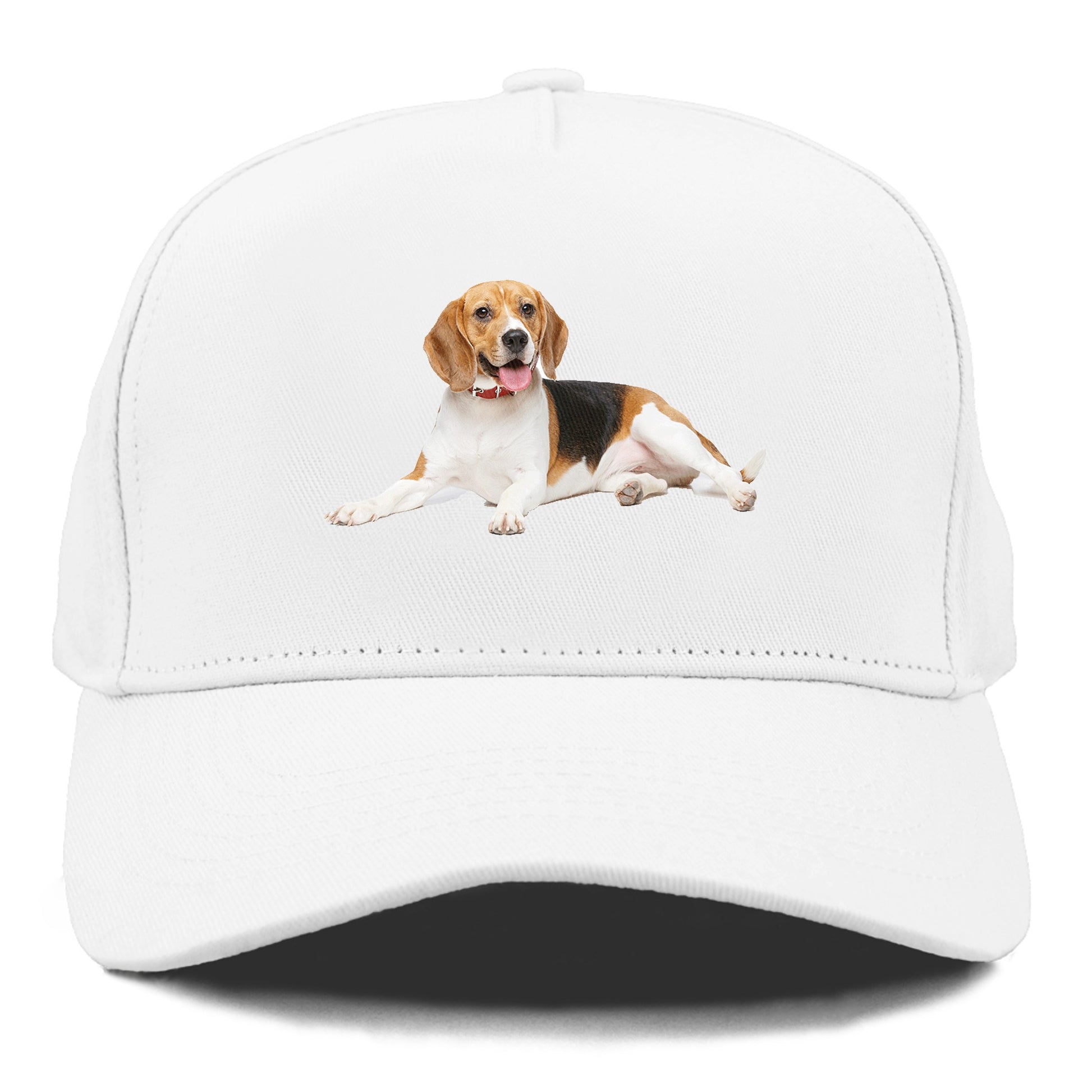 beagle Hat