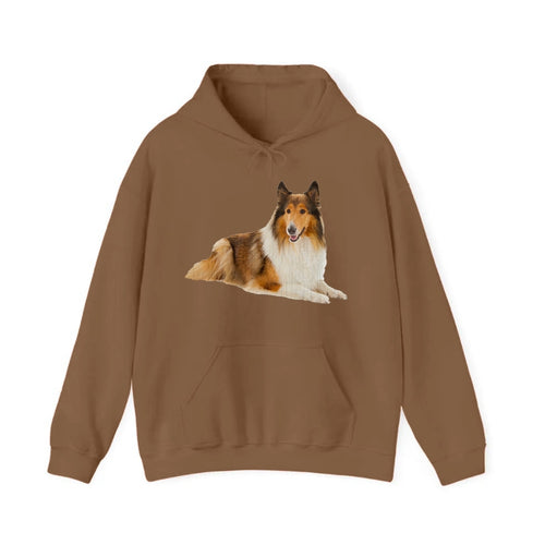 Rough Collie Hooded Sweatshirt