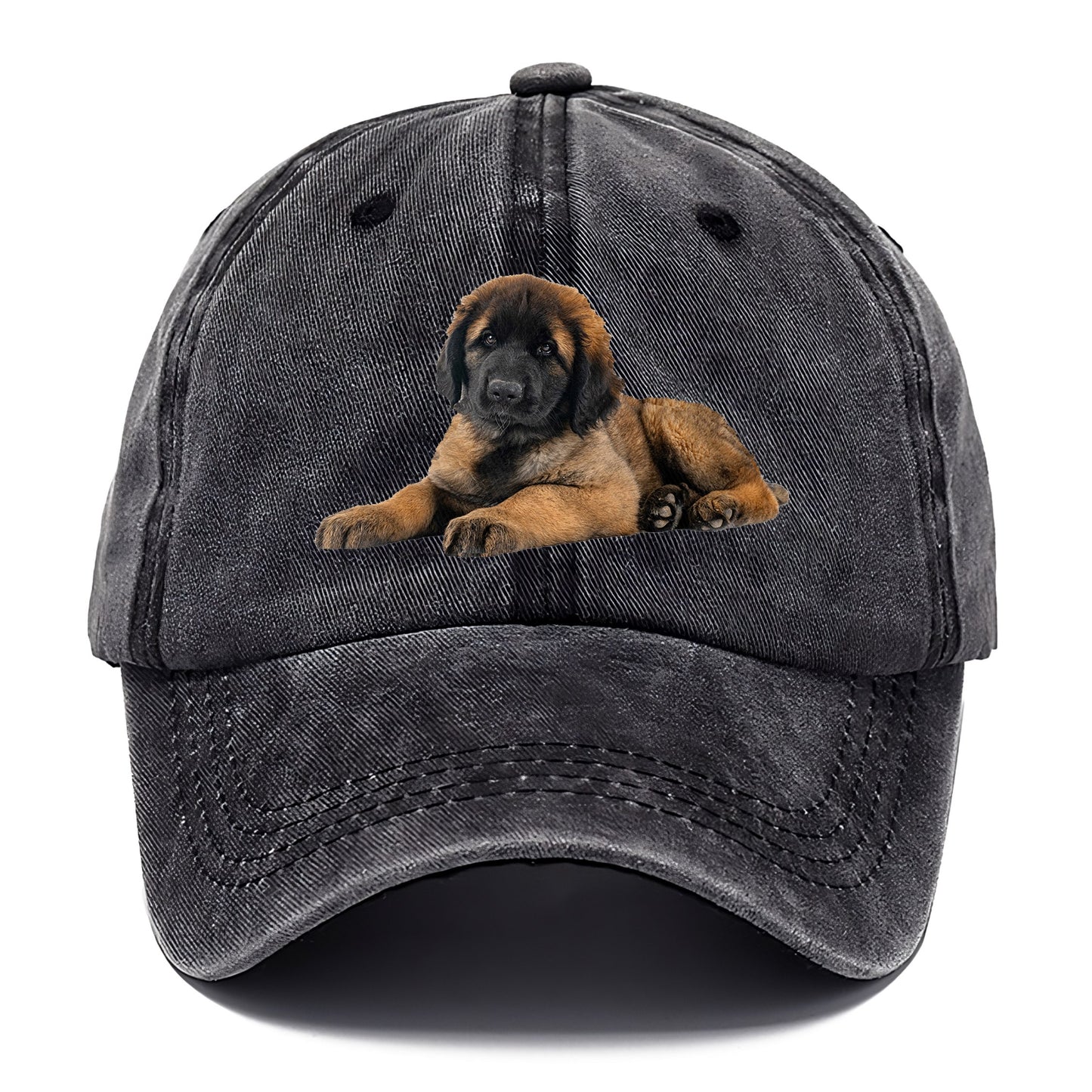 Leonberger Hat