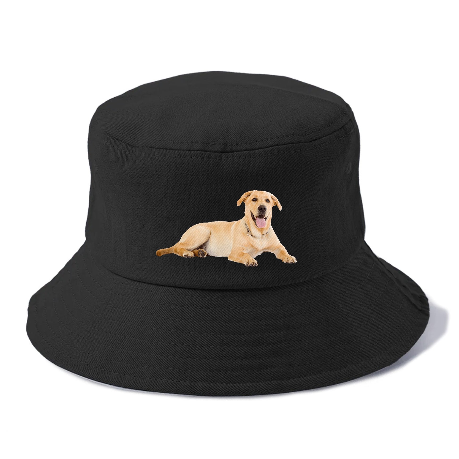 Labrador laying down Hat