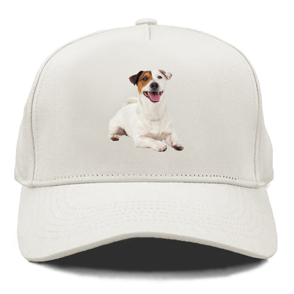 jack russell terrier dog Hat